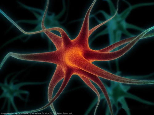 高考生物熱點 生命活動調節(jié)中的相關實驗分析與探究