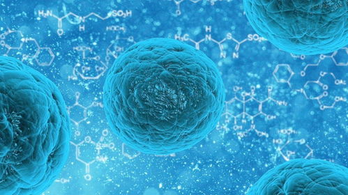 景鵠集團攜手江蘇全能干 常州煒闋進軍干細胞生物科技,共同開辟醫美新藍海